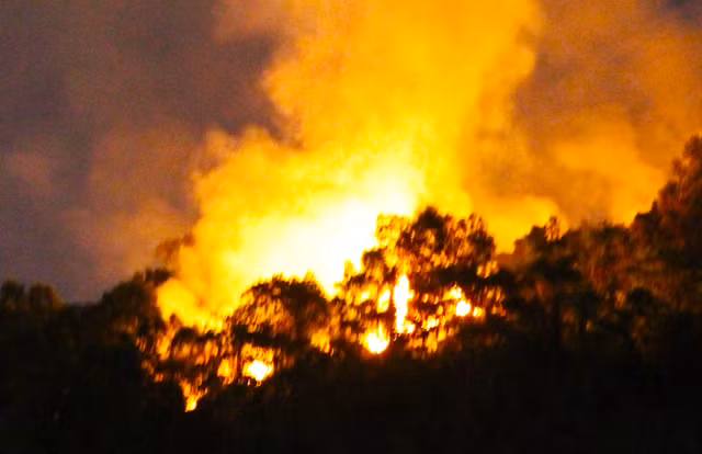 Rung o Da Nang chay ngun ngut, hang tram nguoi tham gia dap lua giua dem