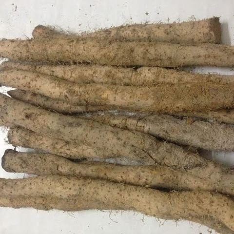 Củ mài đầy chợ Việt nhưng giá gấp đôi ở nước ngoài - Hình 6 Cu mai day cho Viet nhung gia gap doi o nuoc ngoai-Hinh-6