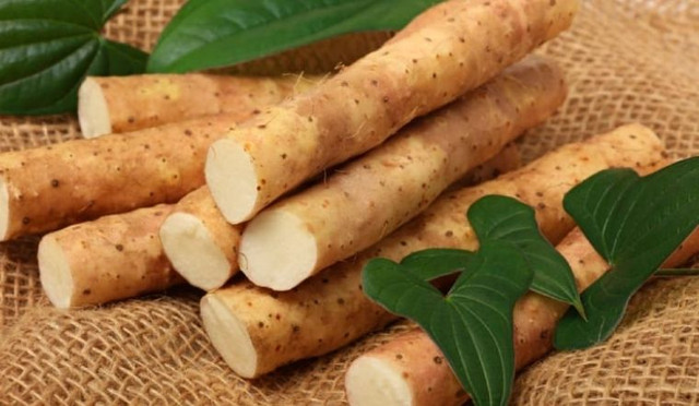 Củ mài đầy chợ Việt nhưng giá gấp đôi ở nước ngoài - Hình 3 Cu mai day cho Viet nhung gia gap doi o nuoc ngoai-Hinh-3