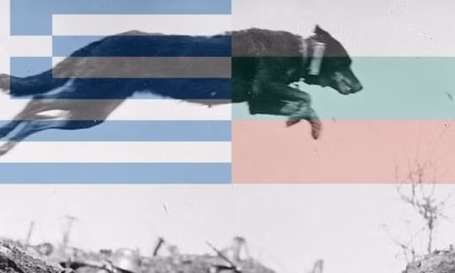 Bat ngo nhung nguyen nhan hi huu khien cac chien tranh no ra