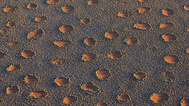 Bí ẩn những mảnh trống hình tròn ở sa mạc Namibia - Hình 3 Bi an nhung manh trong hinh tron o sa mac Namibia-Hinh-3