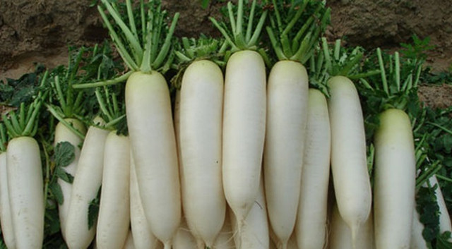 Những thực phẩm cực tốt mà người bệnh gút nên "kết thân" - Hình 8 Nhung thuc pham cuc tot ma nguoi benh gut nen