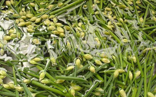 Thuc pham mua xuan giup chi em cai thien tam trang, boi bo suc khoe-Hinh-3