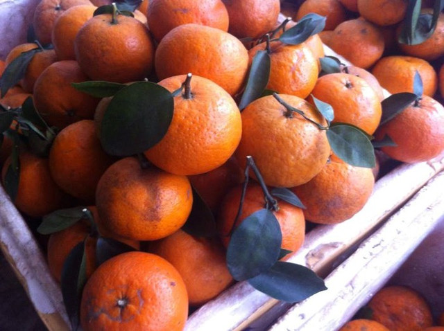 Cách phân biệt hoa quả ngậm hóa chất tránh mua nhầm dịp Tết Cach phan biet hoa qua ngam hoa chat tranh mua nham dip Tet