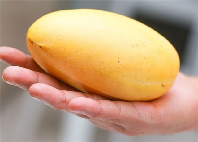 Cách phân biệt hoa quả ngậm hóa chất tránh mua nhầm dịp Tết - Hình 5 Cach phan biet hoa qua ngam hoa chat tranh mua nham dip Tet-Hinh-5