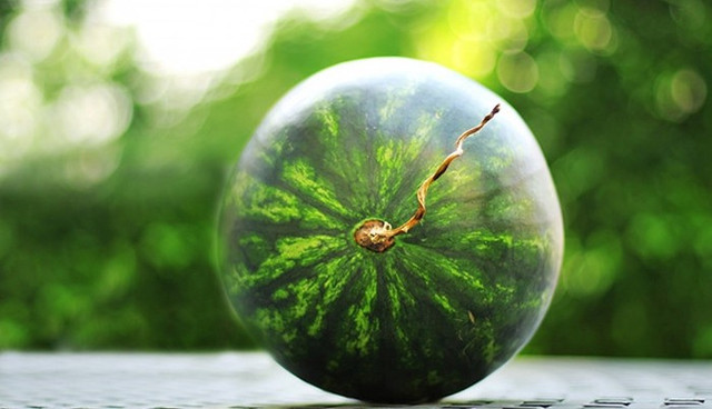 Cách phân biệt hoa quả ngậm hóa chất tránh mua nhầm dịp Tết - Hình 11 Cach phan biet hoa qua ngam hoa chat tranh mua nham dip Tet-Hinh-11