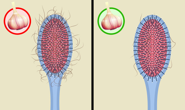 Điều kì diệu xảy ra với cơ thể khi bạn ăn tỏi hàng ngày - Hình 6 Dieu ki dieu xay ra voi co the khi ban an toi hang ngay-Hinh-6