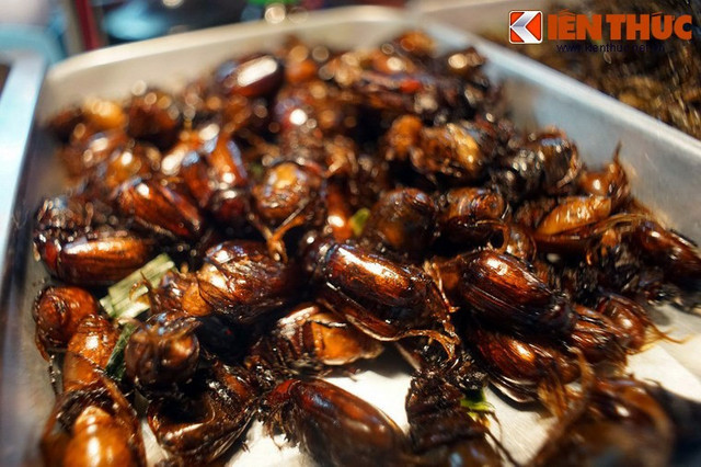 Đặc sản cực lạ ở An Giang - Bọ rầy Bảy Núi chiên giòn - Hình 10 Dac san cuc la o An Giang - Bo ray Bay Nui chien gion-Hinh-10