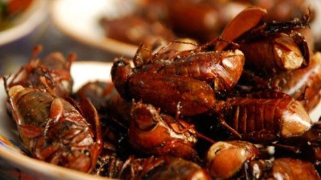 Đặc sản cực lạ ở An Giang - Bọ rầy Bảy Núi chiên giòn - Hình 4 Dac san cuc la o An Giang - Bo ray Bay Nui chien gion-Hinh-4