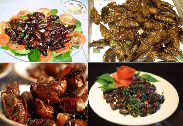 Đặc sản cực lạ ở An Giang - Bọ rầy Bảy Núi chiên giòn - Hình 6 Dac san cuc la o An Giang - Bo ray Bay Nui chien gion-Hinh-6