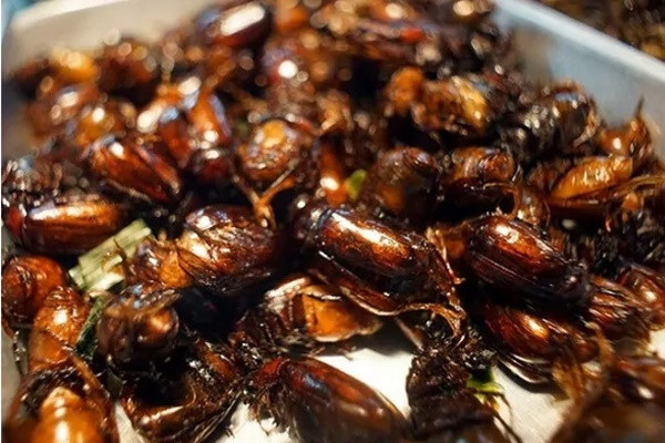 Đặc sản cực lạ ở An Giang - Bọ rầy Bảy Núi chiên giòn - Hình 2 Dac san cuc la o An Giang - Bo ray Bay Nui chien gion-Hinh-2