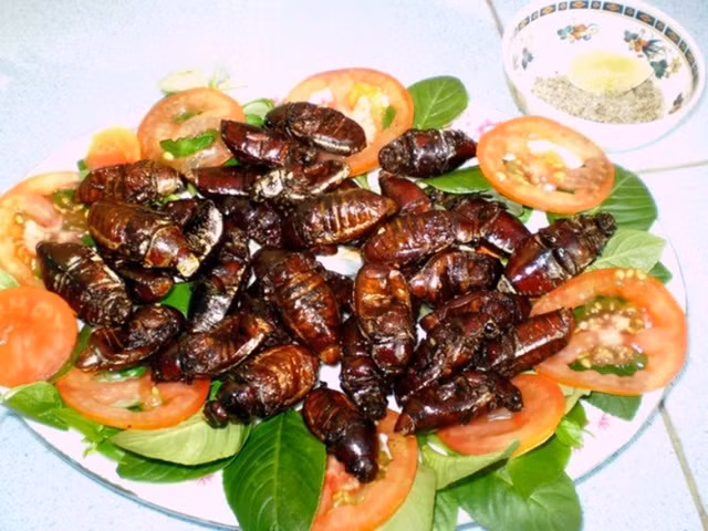 Dac san cuc la o An Giang - Bo ray Bay Nui chien gion