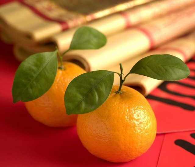 10 món độc đáo trên bàn ăn vào ngày Tết cổ truyền ở Singapore - Hình 5 10 mon doc dao tren ban an vao ngay Tet co truyen o Singapore-Hinh-5