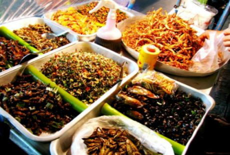 Thái Lan nổi tiếng với những món côn trùng chiên 'phát ớn' Thai Lan noi tieng voi nhung mon con trung chien 'phat on'