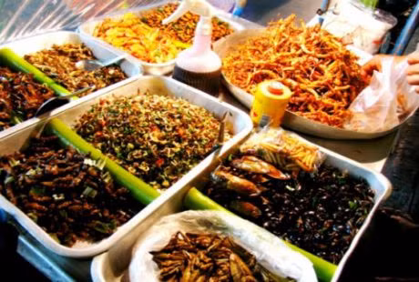 Thai Lan noi tieng voi nhung mon con trung chien 'phat on'