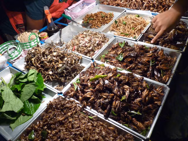 Thai Lan noi tieng voi nhung mon con trung chien 'phat on'-Hinh-12