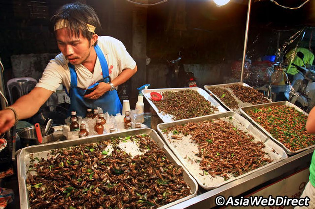 Thái Lan nổi tiếng với những món côn trùng chiên 'phát ớn' - Hình 7 Thai Lan noi tieng voi nhung mon con trung chien 'phat on'-Hinh-7