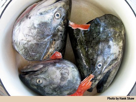 Thách thức ăn món đầu cá bốc mùi của người Eskimo - Hình 8 Thach thuc an mon dau ca boc mui cua nguoi Eskimo-Hinh-8