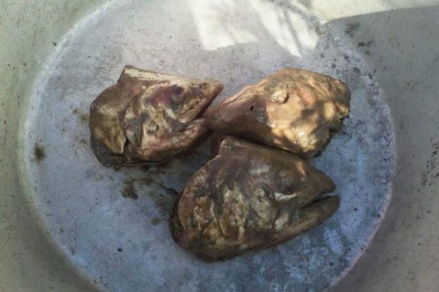 Thách thức ăn món đầu cá bốc mùi của người Eskimo - Hình 4 Thach thuc an mon dau ca boc mui cua nguoi Eskimo-Hinh-4