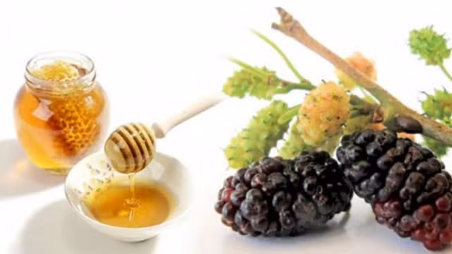 3 mon sieu ngon tu dau tam giup duong tim, bo gan-Hinh-11