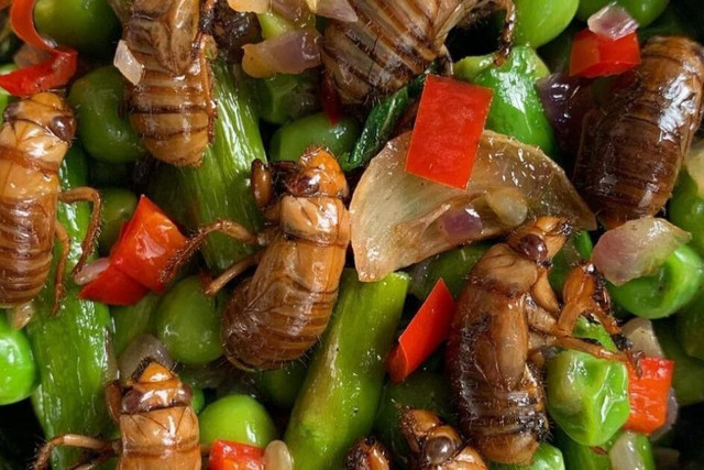 Nguoi My bat ve sau lam du mon kinh di-Hinh-3