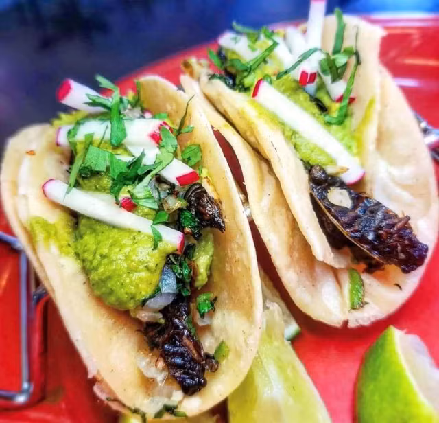 Nguoi My bat ve sau lam du mon kinh di-Hinh-9