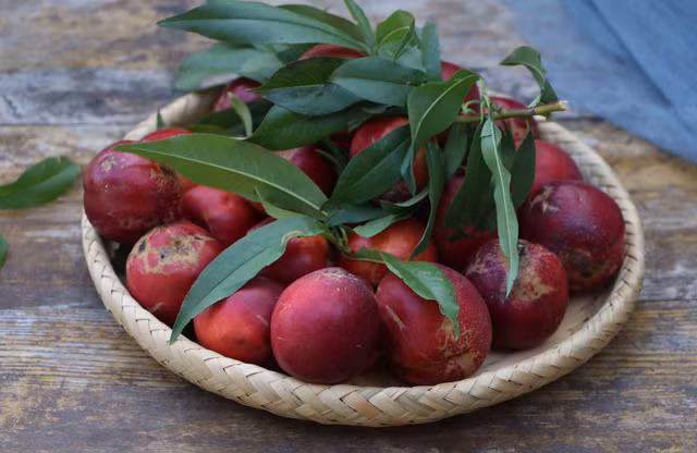 Cach lam nuoc ep dao long vang cuc thom ngon cho ngay he-Hinh-3