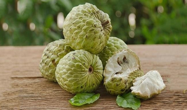 Lưu ý những loại trái cây càng để tủ lạnh càng nhanh hỏng - Hình 6 Luu y nhung loai trai cay cang de tu lanh cang nhanh hong-Hinh-6