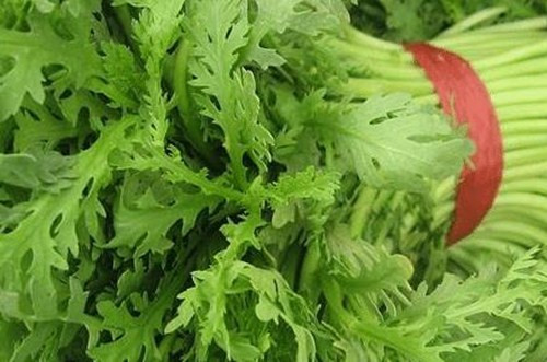 Giá trị dinh dưỡng của loại rau hoàng đế “mỹ vị cung đình” - Hình 11 Gia tri dinh duong cua loai rau hoang de “my vi cung dinh”-Hinh-11