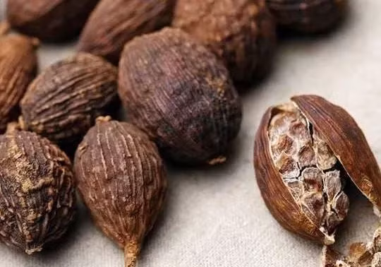 Khong the bo qua loai qua dai la 'bau vat tren nui'-Hinh-3