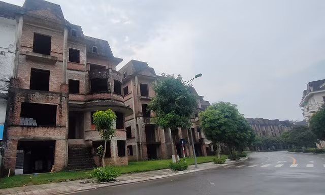 Loat biet thu bo hoang, ha tang xuong cap o Hoai Duc-Hinh-2