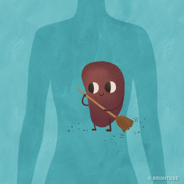 Loạt lợi ích này khiến bạn sẽ phải chọn tư thế ngủ đúng cách để tốt cho sức khỏe - Hình 2 Loat loi ich nay khien ban se phai chon tu the ngu dung cach de tot cho suc khoe-Hinh-2