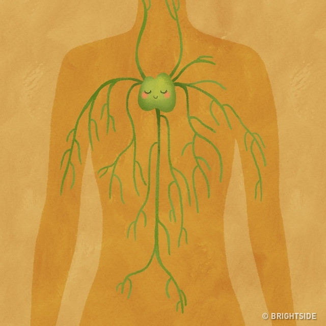 Loạt lợi ích này khiến bạn sẽ phải chọn tư thế ngủ đúng cách để tốt cho sức khỏe Loat loi ich nay khien ban se phai chon tu the ngu dung cach de tot cho suc khoe