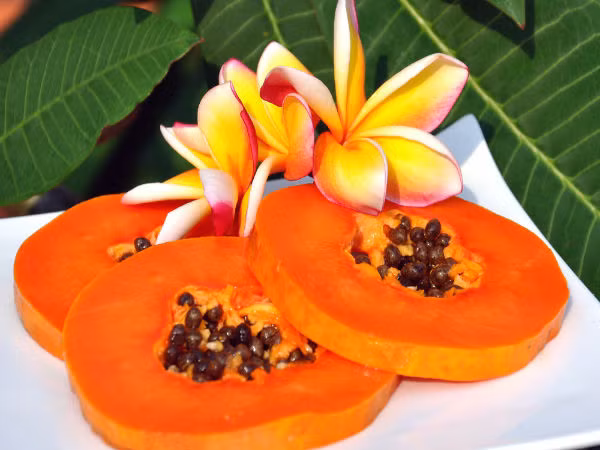 Mat na nha dam, “cuu tinh” cho lan da kho, thieu suc song-Hinh-2