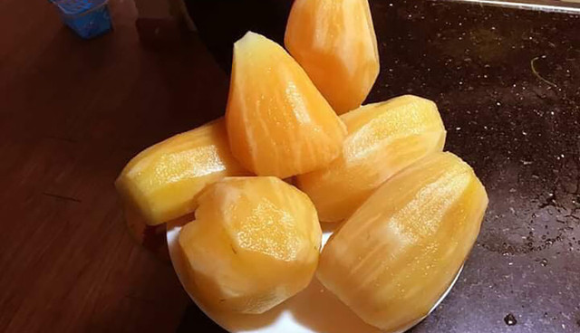 Sâm đất bổ dưỡng giá rẻ như cho được nhiều người săn lùng Sam dat bo duong gia re nhu cho duoc nhieu nguoi san lung