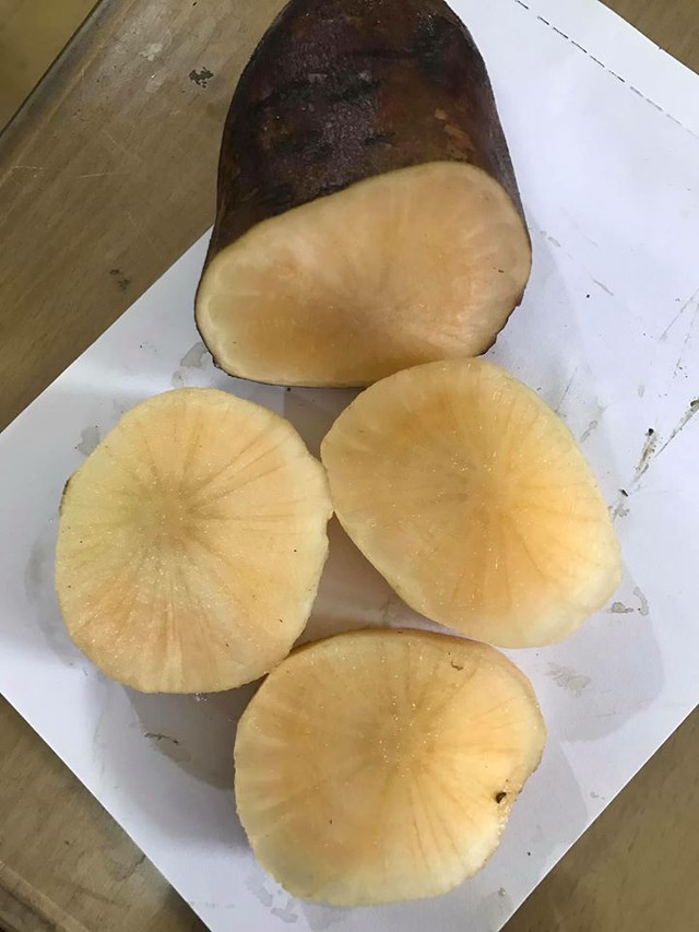 Sâm đất bổ dưỡng giá rẻ như cho được nhiều người săn lùng - Hình 8 Sam dat bo duong gia re nhu cho duoc nhieu nguoi san lung-Hinh-8