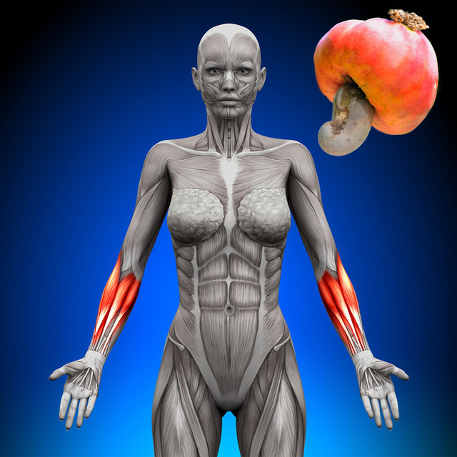 Những thực phẩm cực quan trọng mà chị em không nên bỏ qua - Hình 6 Nhung thuc pham cuc quan trong ma chi em khong nen bo qua-Hinh-6