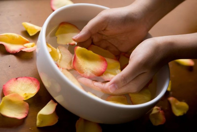 Bí kíp chữa bệnh bằng nước hoa hồng Bi kip chua benh bang nuoc hoa hong