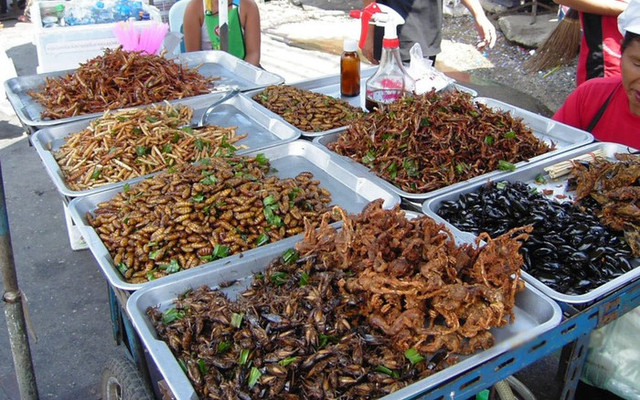 Bắt mắt những món ăn kinh dị của Thái Lan - Hình 7 Bat mat nhung mon an kinh di cua Thai Lan-Hinh-7