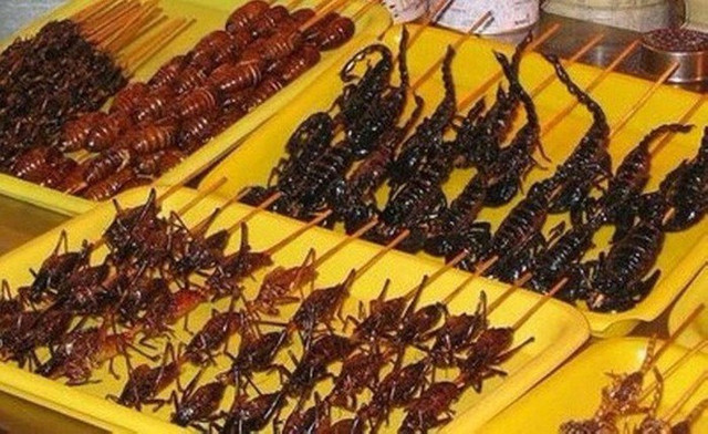 Bắt mắt những món ăn kinh dị của Thái Lan - Hình 8 Bat mat nhung mon an kinh di cua Thai Lan-Hinh-8