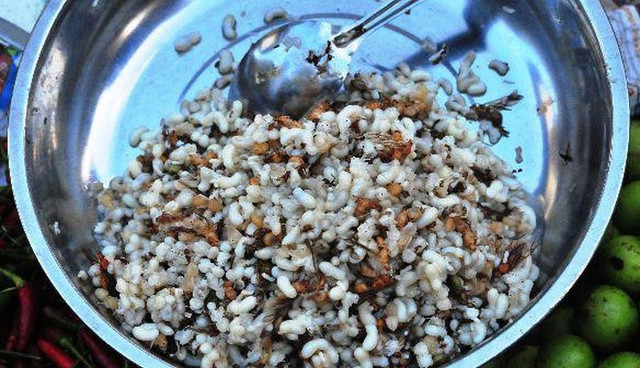 Bắt mắt những món ăn kinh dị của Thái Lan - Hình 2 Bat mat nhung mon an kinh di cua Thai Lan-Hinh-2