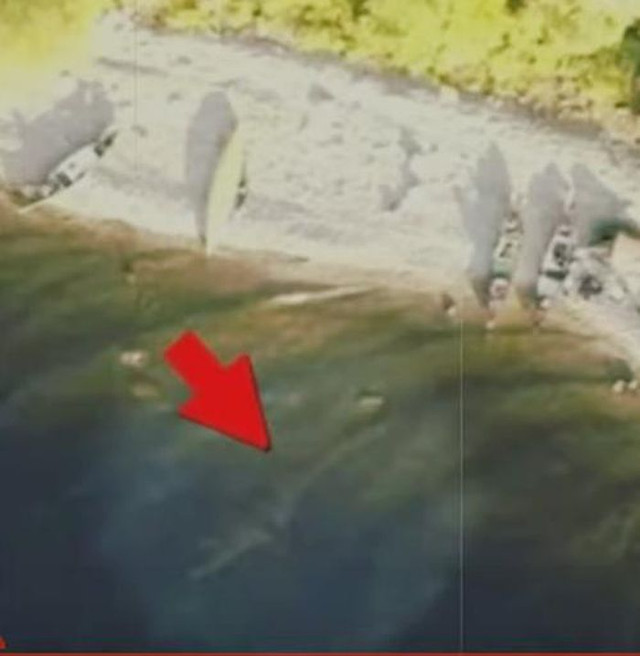 Thấy được quái vật bí ẩn hồ Loch Ness từ flycam? - Hình 4 Thay duoc quai vat bi an ho Loch Ness tu flycam?-Hinh-4