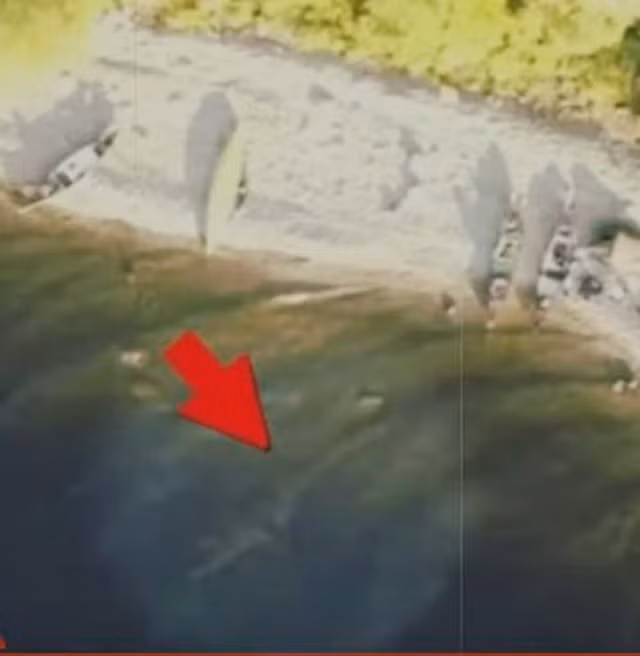 Thay duoc quai vat bi an ho Loch Ness tu flycam?-Hinh-4