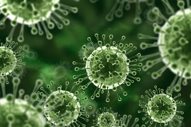 Virus Nipah bùng phát, tỷ lệ tử vong tới 75% - Hình 8 Virus Nipah bung phat, ty le tu vong toi 75%-Hinh-8
