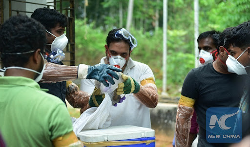 Virus Nipah bùng phát, tỷ lệ tử vong tới 75% - Hình 3 Virus Nipah bung phat, ty le tu vong toi 75%-Hinh-3