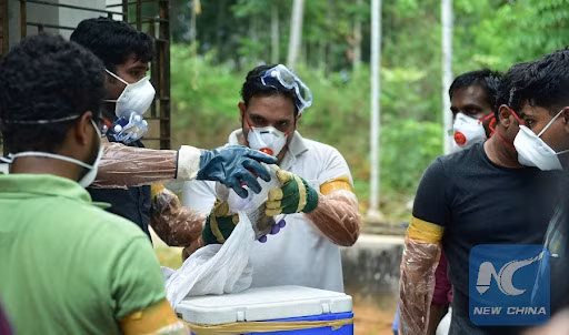 Virus Nipah bung phat, ty le tu vong toi 75%-Hinh-3