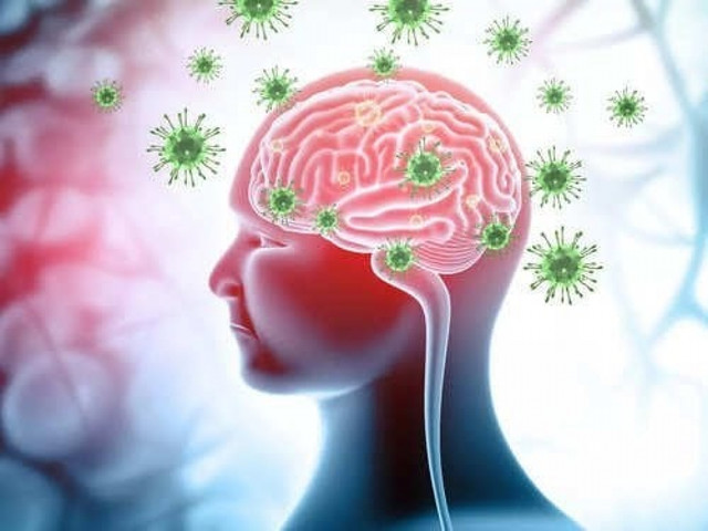 Virus Nipah bùng phát, tỷ lệ tử vong tới 75% - Hình 10 Virus Nipah bung phat, ty le tu vong toi 75%-Hinh-10