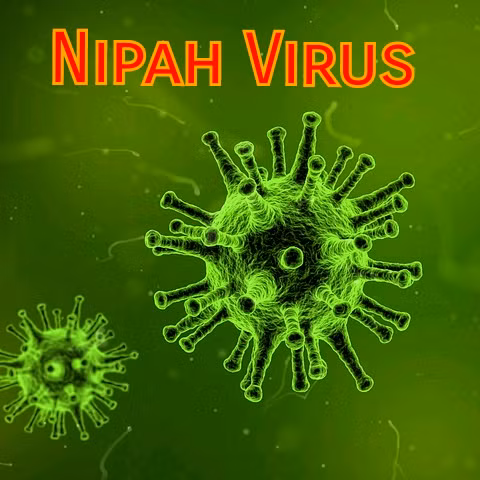 Virus Nipah bung phat, ty le tu vong toi 75%-Hinh-9