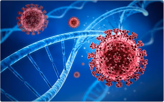 Nhung nguoi khang NcoV bam sinh co gi dac biet?-Hinh-3