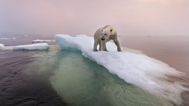 Trai dat co the hung dai tuyet chung vao nam 2200?-Hinh-9